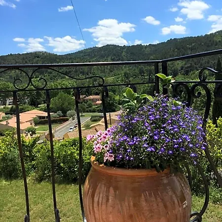 Chez Montiz